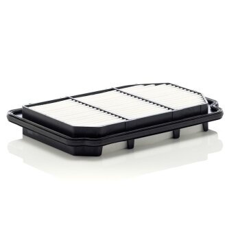 MANN-FILTER Luftfilter C 2931 - C2931 für 96438204
