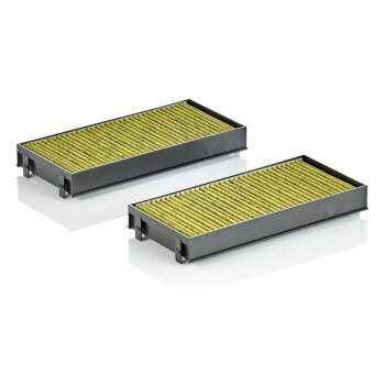 MANN-FILTER Filter, Innenraumluft FP 2941-2 - FP29412...