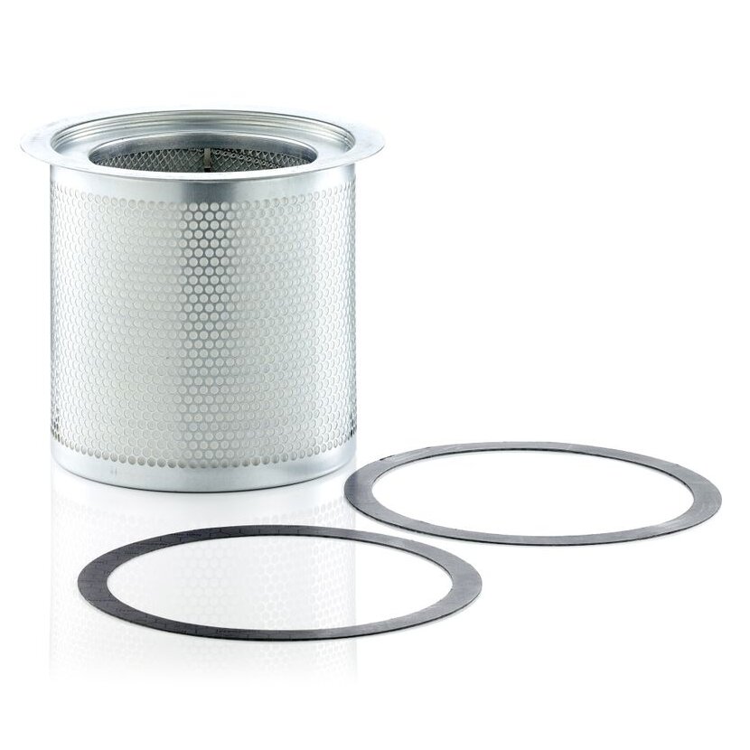MANN-FILTER Filter, Drucklufttechnik LE 29 005 x - LE29005x für 93520773