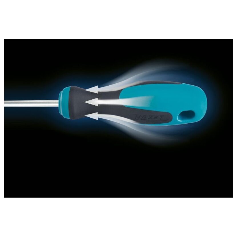 HAZET Schraubendrehersatz 810/6PZ