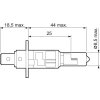 VALEO Glühlampe, Fernscheinwerfer 032505