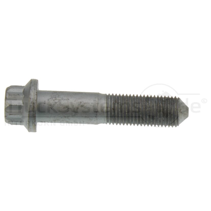 SAF Doppelsechskant Schraube M14X65 - 4 375 1009 11 - 4375100911
