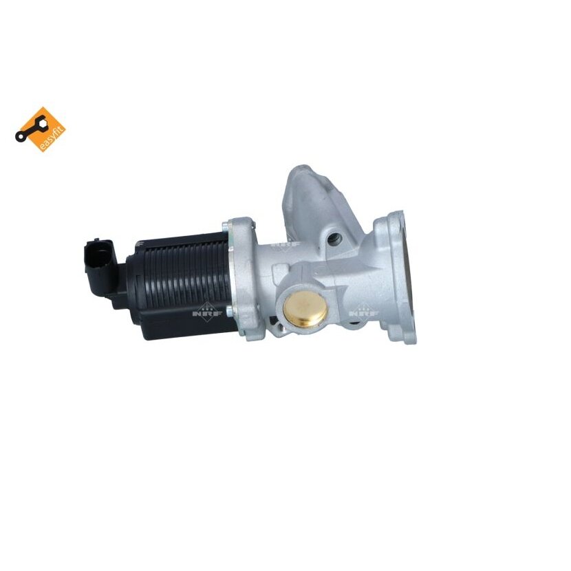 NRF AGR-Ventil 48331 für 55195196