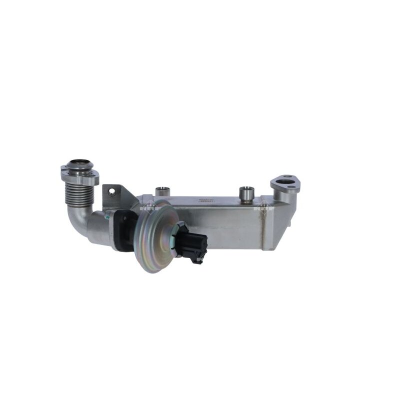 NRF AGR-Ventil 48365 für 11717800653
