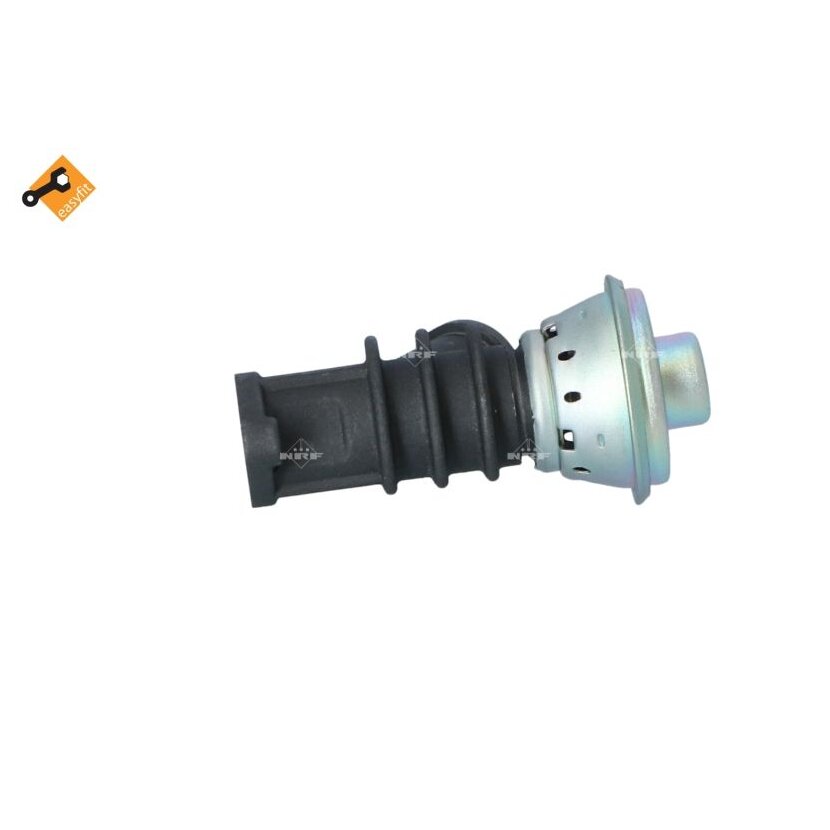 NRF AGR-Ventil 48387 für 9628693880