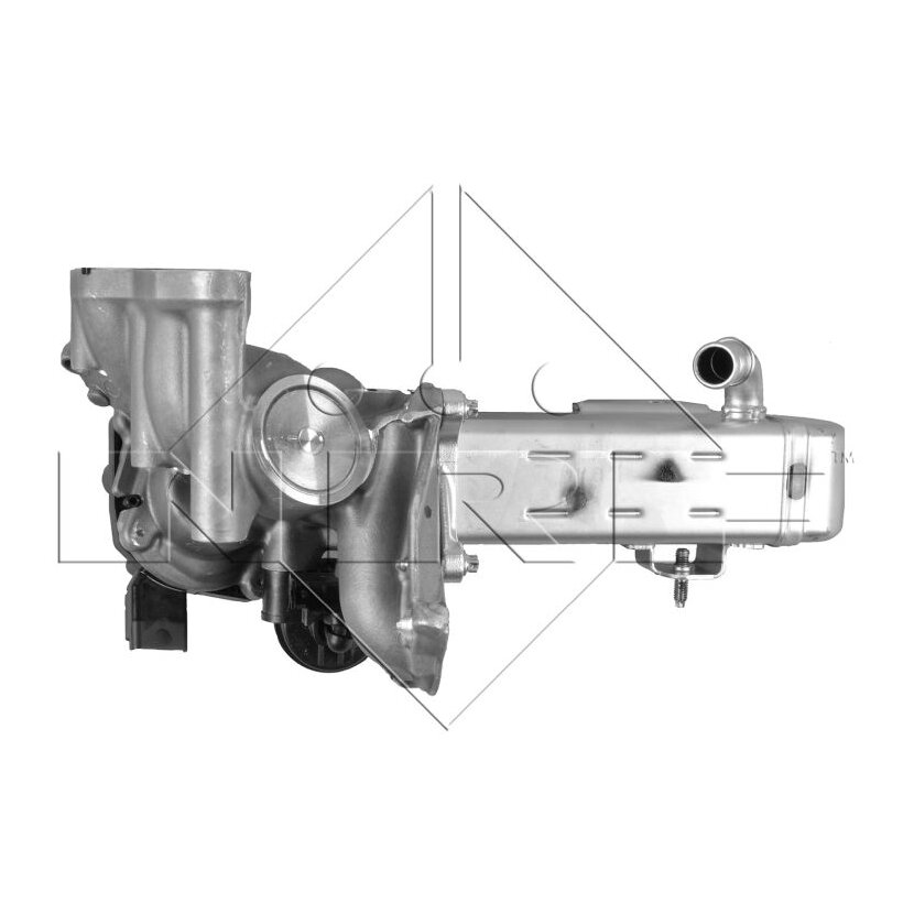 NRF AGR-Ventil 48204 für 9678257280