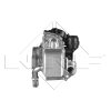 NRF AGR-Ventil 48204 für 9678257280