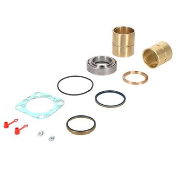 Jost Reparatursatz Achsschenkel Lagerung - JAE0250600620