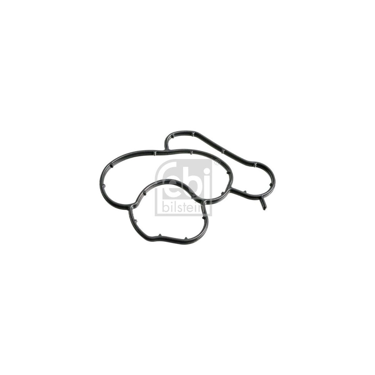 FEBI BILSTEIN Dichtung, Ölfiltergehäuse 176379 für 11 42 7 508 971