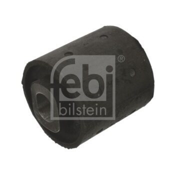 FEBI BILSTEIN Lagerung, Differential 08858 für 33 17...