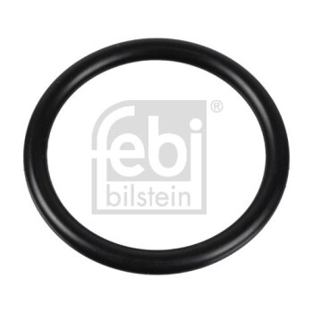 FEBI BILSTEIN Dichtung, Thermostat 174322 für A024...