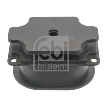 FEBI BILSTEIN Lagerung, Motor 47772 für 81.96210.0502