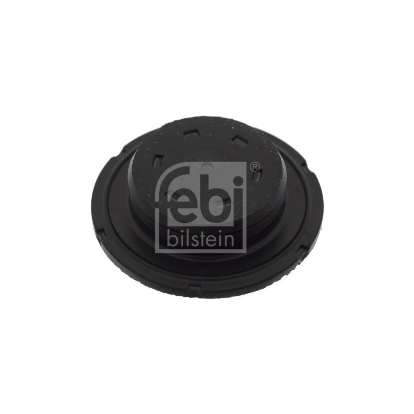 FEBI BILSTEIN Froststopfen 49353 für 06H 115 418 D