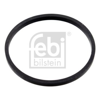 FEBI BILSTEIN Dichtung, Thermostat 100055 für A271...