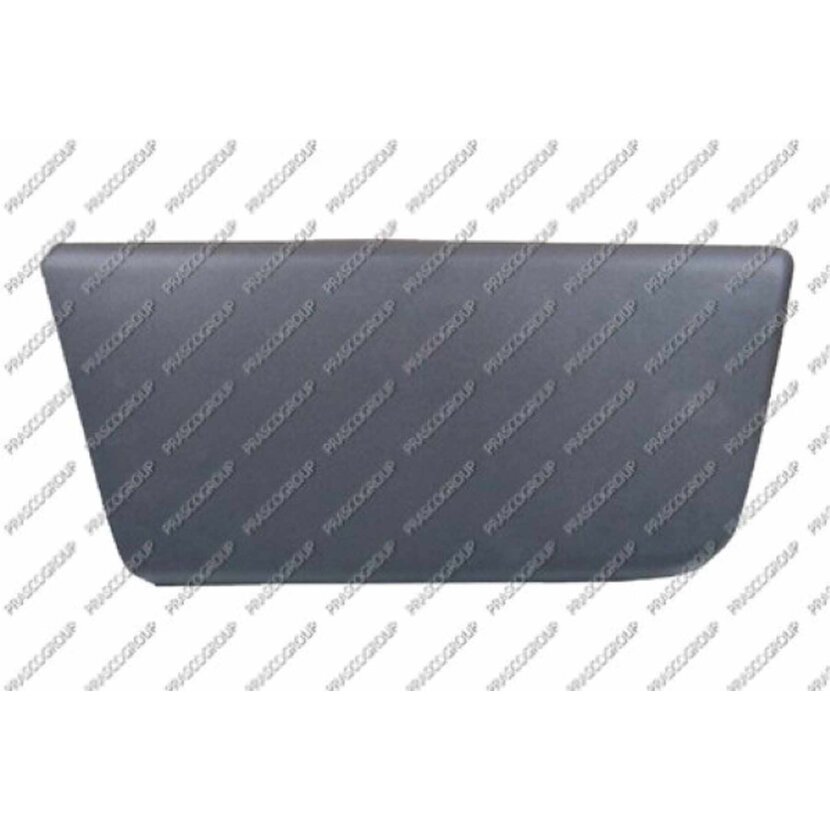 PRASCO Schutzleiste Türig vorne  rechts Lackiert schwarz passend für Citroen - Jumper - Mod. 01/06 - 06/14 - FT9301403