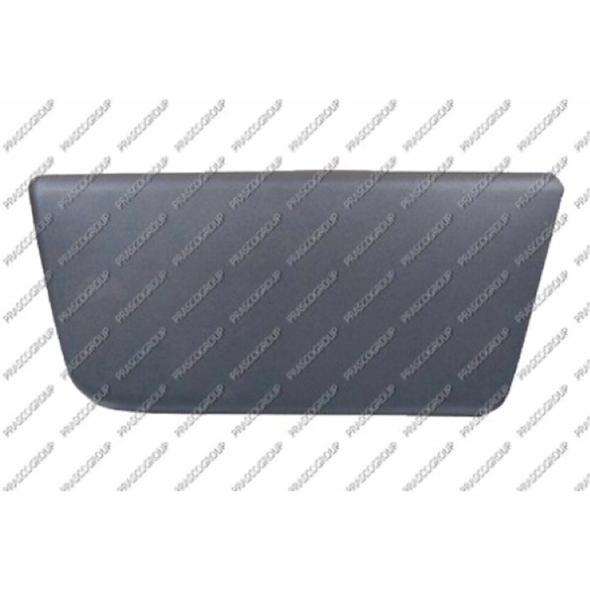 PRASCO Schutzleiste Türig vorne  links Lackiert schwarz passend für Citroen - Jumper - Mod. 01/06 - 06/14 - FT9301404