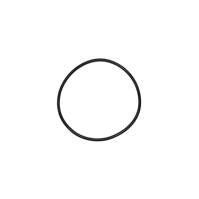 ELRING Dichtring 000.924 - 000924 für 0 290 534