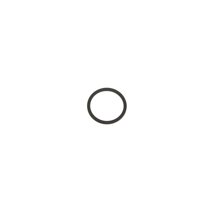 ELRING Dichtring 904.480 - 904480 für N 909 513 01