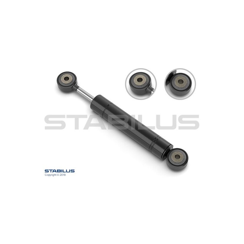 STABILUS Schwingungsdämpfer, Keilrippenriemen 8454BQ für A 603 200 01 14
