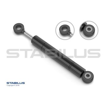 STABILUS Schwingungsdämpfer, Keilrippenriemen 6014VE...