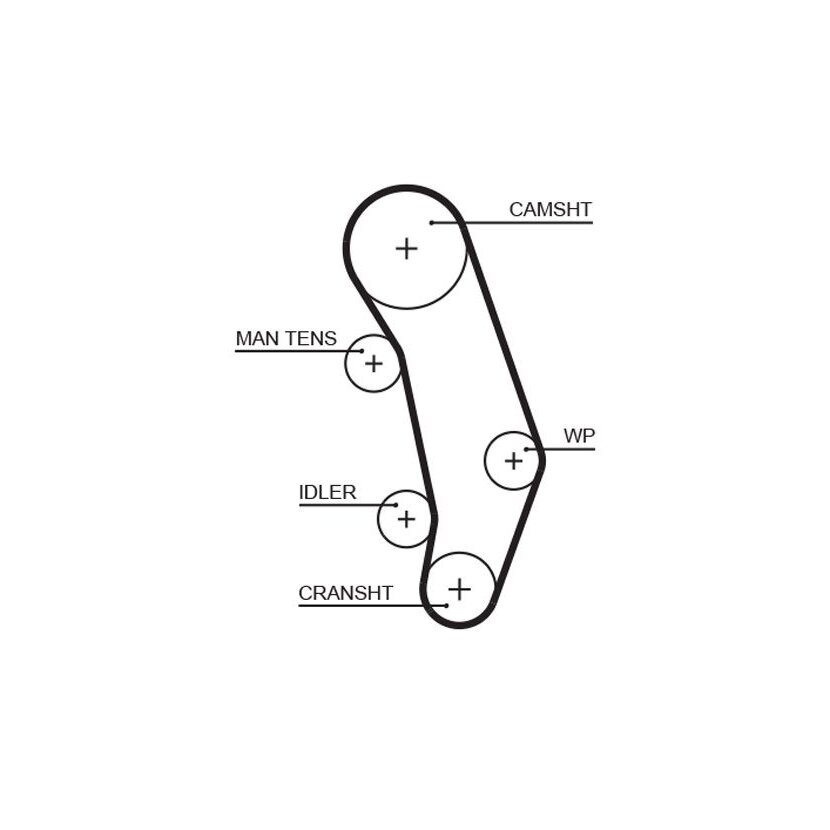 GATES Zahnriemen 5346XS für 074109119F