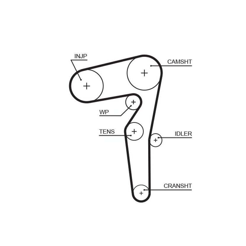 GATES Zahnriemen 5646XS für 46350908