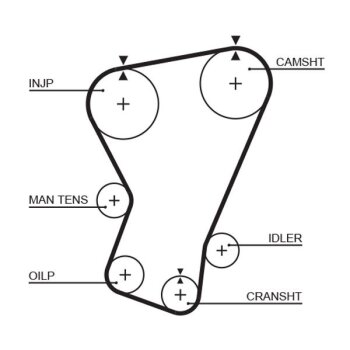 GATES Zahnriemen 5065 für 5952779
