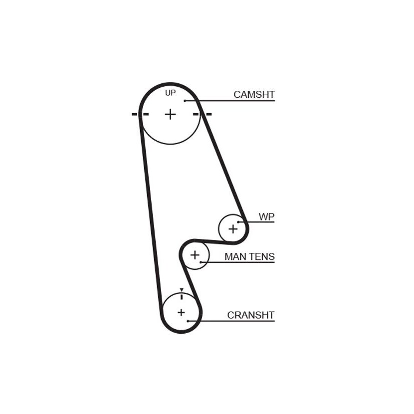 GATES Zahnriemen T244RB für 06141-P0A-305