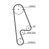GATES Zahnriemen T244RB für 06141-P0A-305