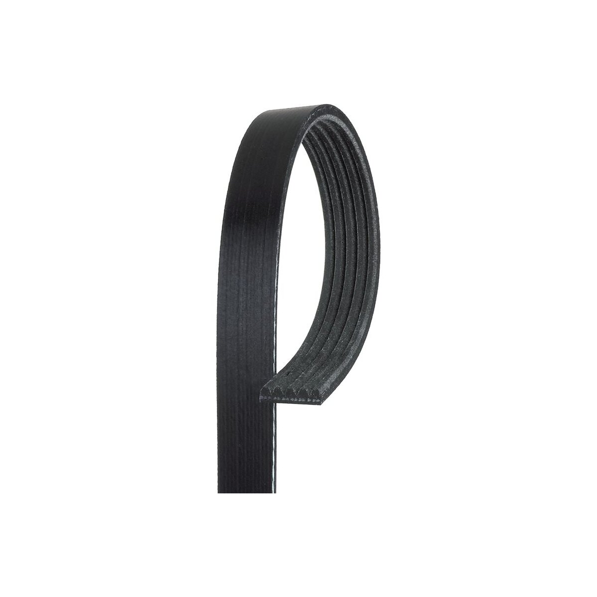 GATES Keilrippenriemen 5PK1188 für 55281868