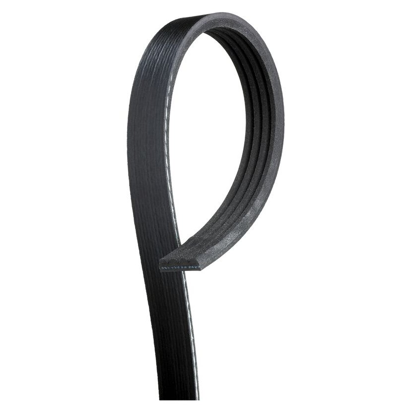 GATES Keilrippenriemen 4PK1770 für 90916-02475