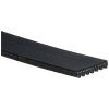 GATES Keilrippenriemen 7PK1675 für 6000616600