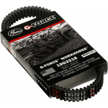 GATES CVT-Antriebsriemen 19G3218 für 27601-38F00