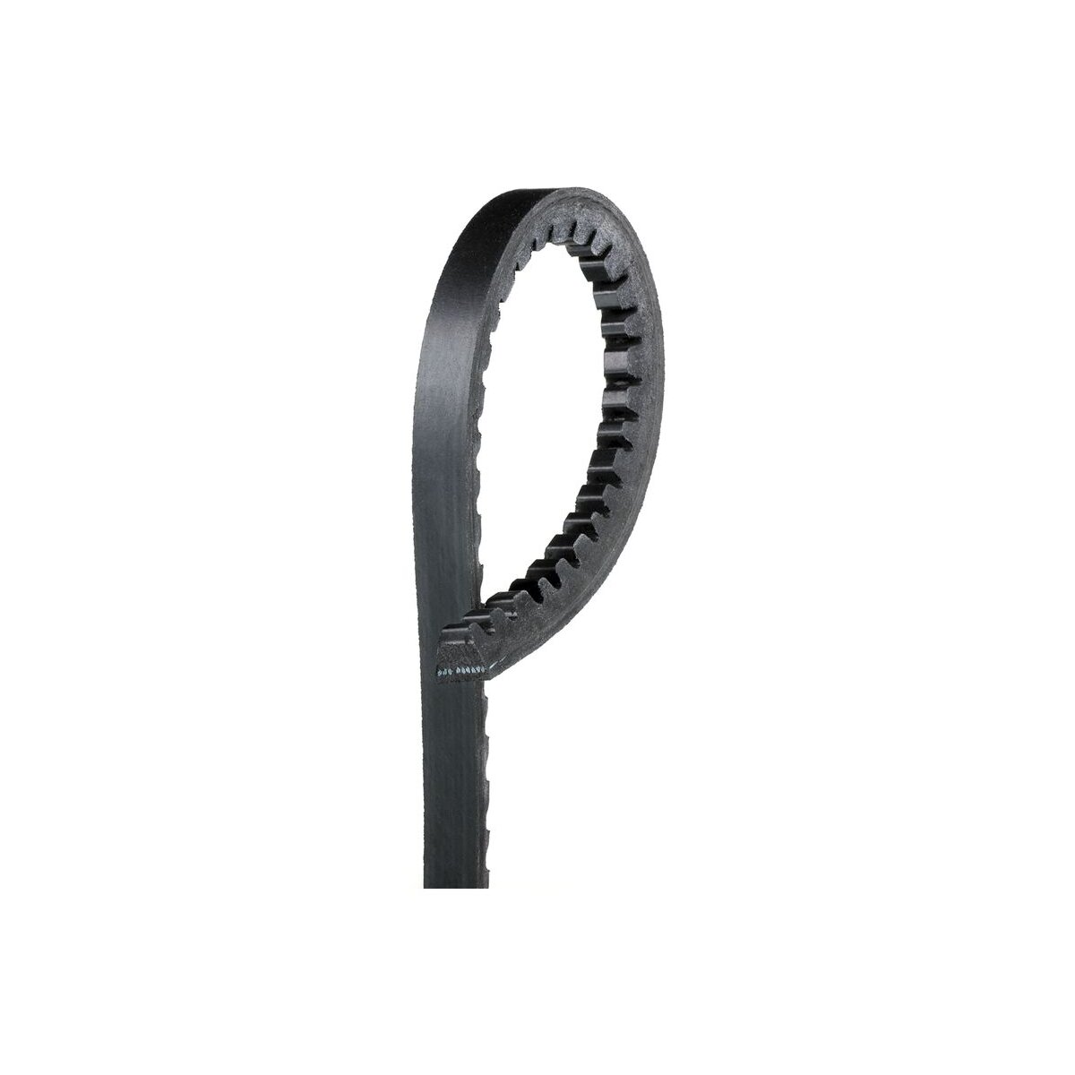 GATES Keilriemen 6284MC für 60800359