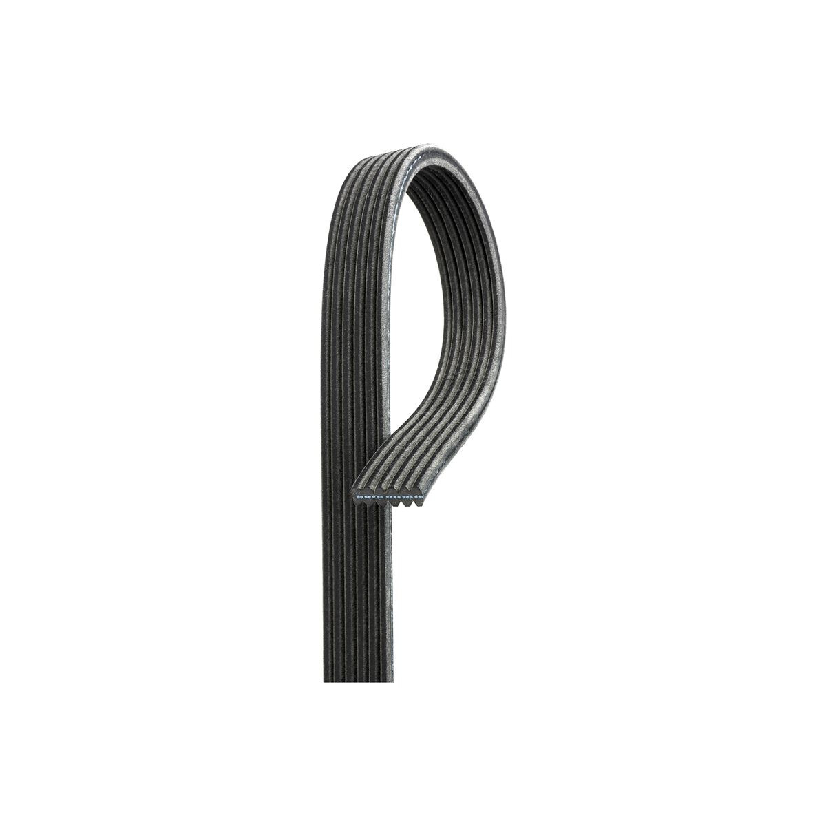 GATES Keilrippenriemen 6DPK1195 für 06A260849