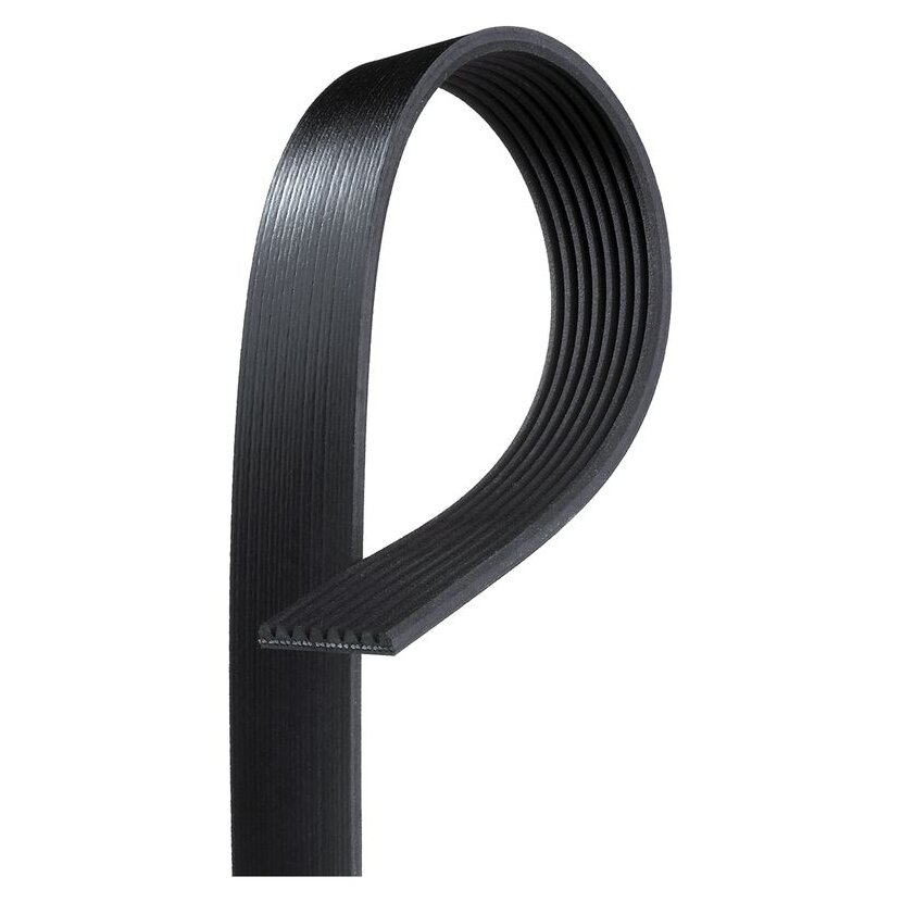 GATES Keilrippenriemen 8PK1590HD für 004 993 16 96