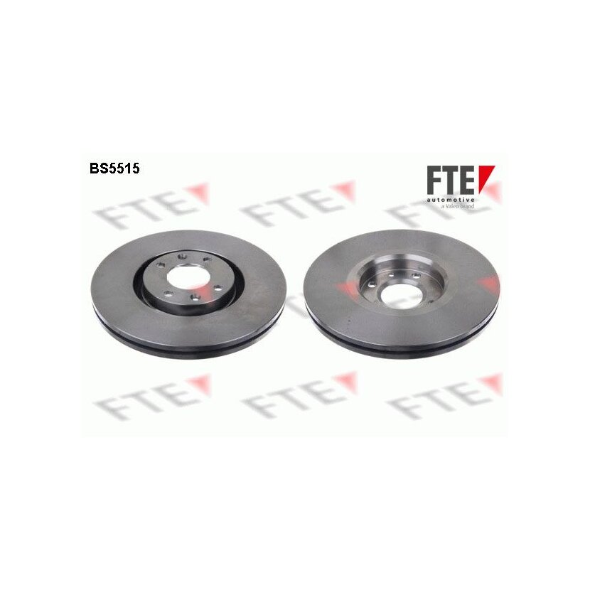 FTE Bremsscheibe 9071270 für 424933