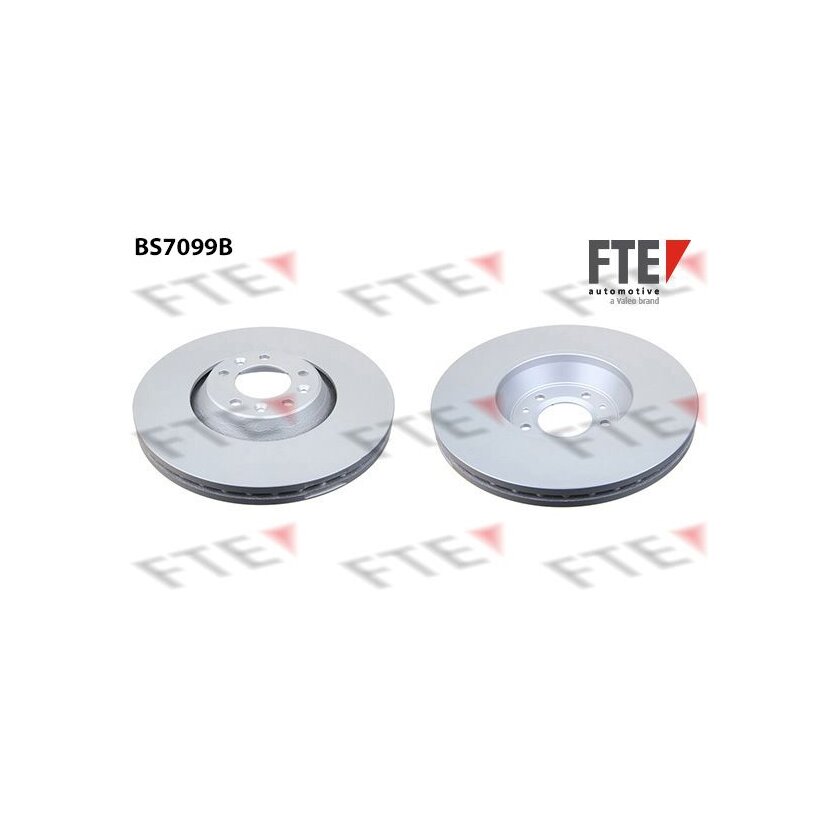 FTE Bremsscheibe 9081071 für 4246-K0