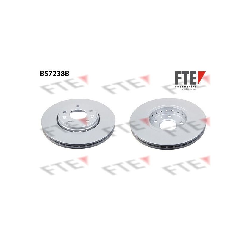 FTE Bremsscheibe 9081219 für 402060002R