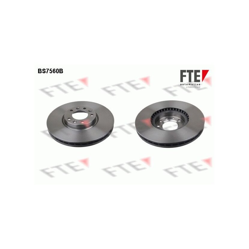 FTE Bremsscheibe 9081216 für 4249-93