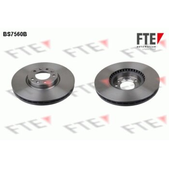 FTE Bremsscheibe 9081216 für 4249-93