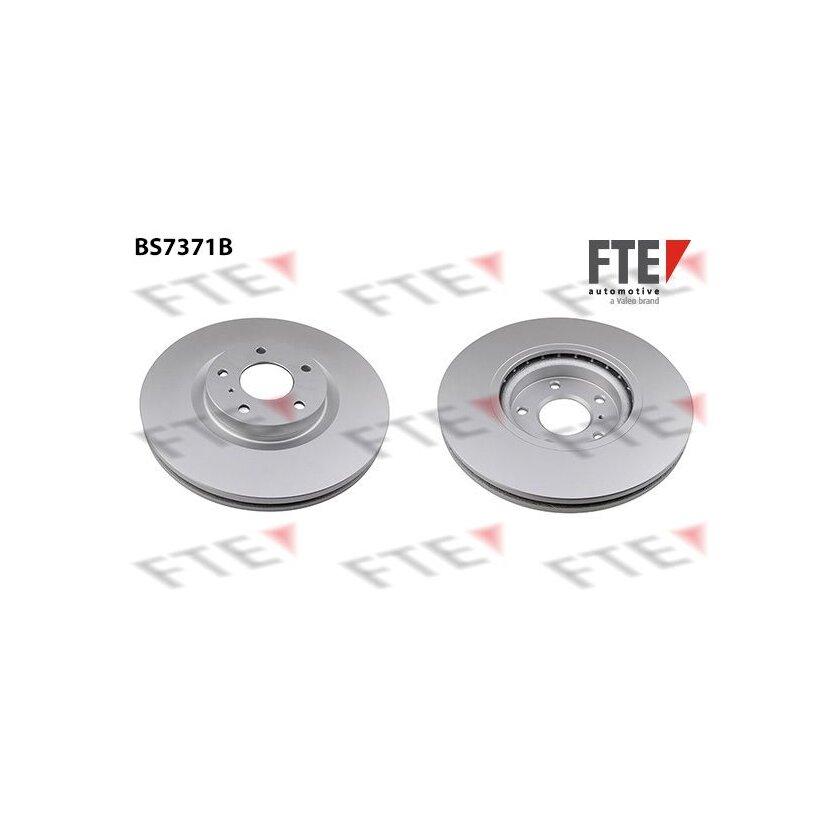 FTE Bremsscheibe 9081200 für 40206-CA010