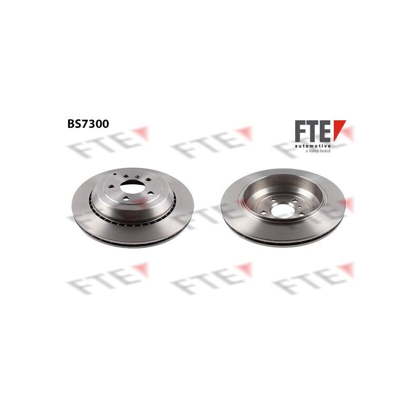 FTE Bremsscheibe 9071220 für 1644230612