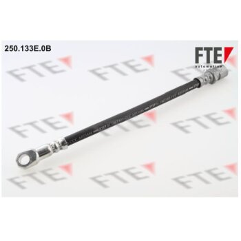 FTE Bremsschlauch 250.133E.0B - 250133E0B für 4256246