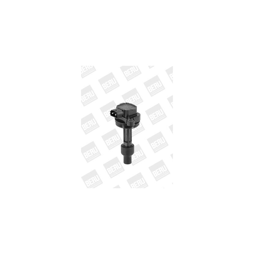 BERU Zündspule ZS446 für 3531300