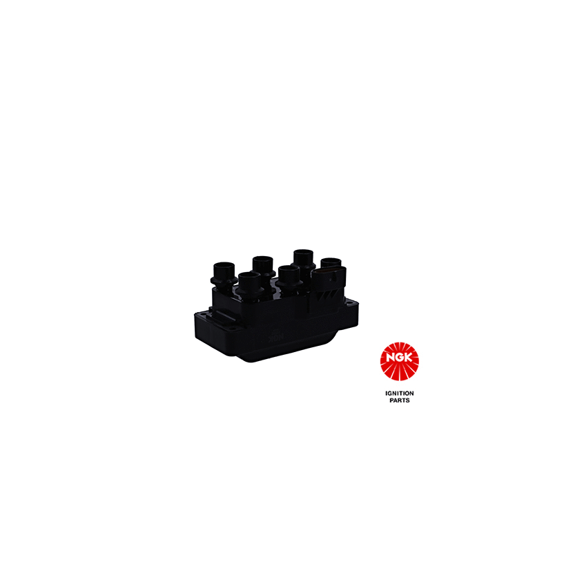 NGK Zündspule 48079 für 19017114