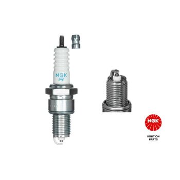 NGK Zündkerze 2023 für 5894585