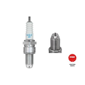 NGK Zündkerze 3172 für 60 80 60 24