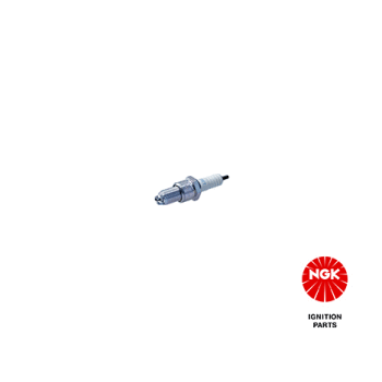 NGK Zündkerze 3172 für 60 80 60 24