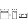 EXIDE Starterbatterie EB457 für 31500SCAE02